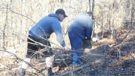 Homesteading Mistakes and Lessons Learned, Part 2: Forget the Big Picture Image